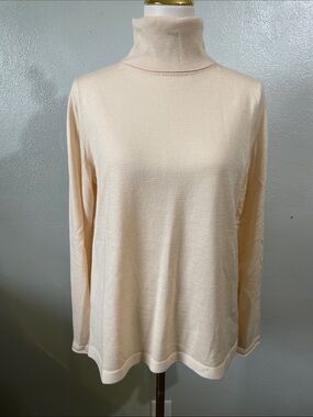 Quiet Luxury Merino Wool Turtleneck Sweater Cream Large Banana Republic Timeless